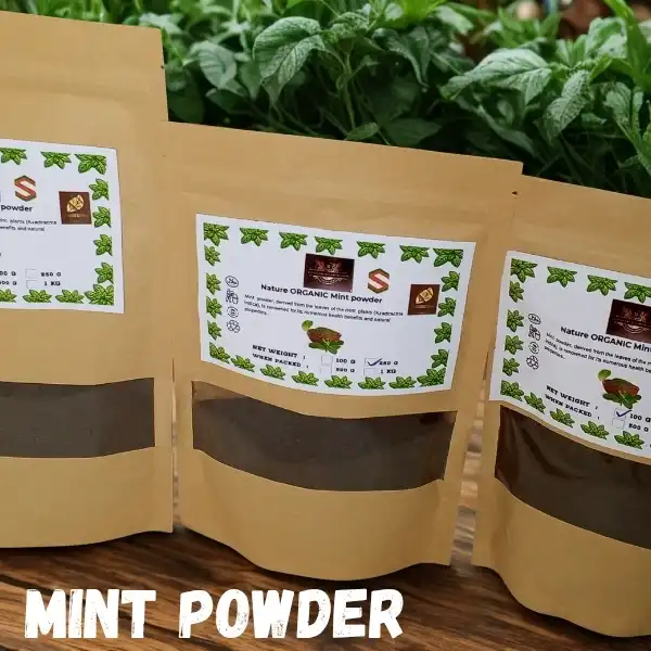 organic mint powder
